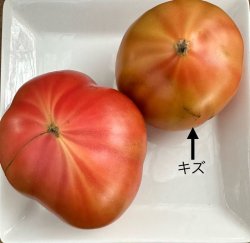 画像2: B品　袋入りトマト