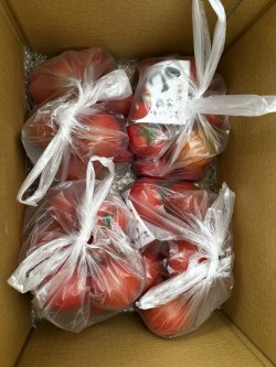 画像1: B品　袋入りトマト