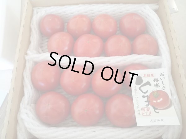 画像1: お得なご家庭用の清香トマト２kg(定期お届け）